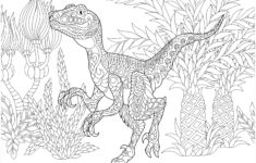 Velociraptor Dinosaurs Adult Coloring Pages Dinosaur Coloring Pages